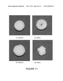 CERAMIC SCAFFOLDS FOR BONE REPAIR diagram and image