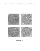 CERAMIC SCAFFOLDS FOR BONE REPAIR diagram and image