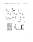 METHODS FOR MODULATING DE NOVO HEPATIC LIPOGENESIS BY MODULATING XBP-1 ACTIVITY diagram and image