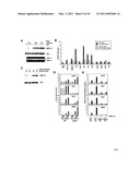 METHODS FOR MODULATING DE NOVO HEPATIC LIPOGENESIS BY MODULATING XBP-1 ACTIVITY diagram and image