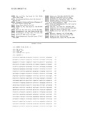 MODULATION OF SRPX2-MEDIATED ANGIOGENESIS diagram and image