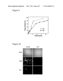 Aptamer-Directed Drug Delivery diagram and image