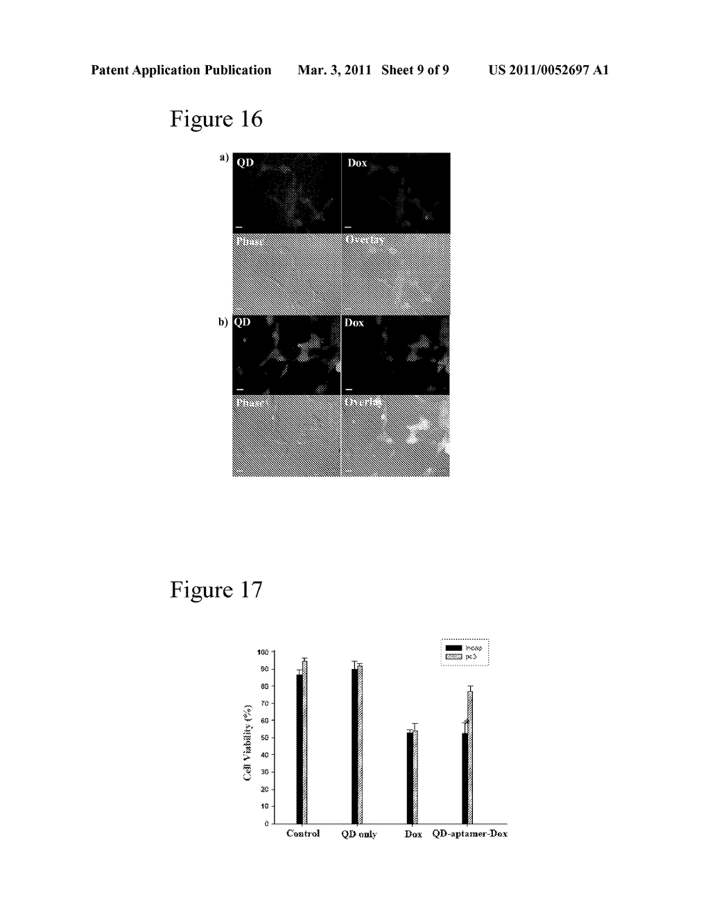 Aptamer-Directed Drug Delivery - diagram, schematic, and image 10