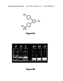 BETA-CASEIN ASSEMBLIES FOR MUCOSAL DELIVERY OF THERAPEUTIC BIOACTIVE AGENTS diagram and image