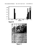 BETA-CASEIN ASSEMBLIES FOR MUCOSAL DELIVERY OF THERAPEUTIC BIOACTIVE AGENTS diagram and image