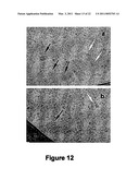 BETA-CASEIN ASSEMBLIES FOR MUCOSAL DELIVERY OF THERAPEUTIC BIOACTIVE AGENTS diagram and image