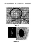 BETA-CASEIN ASSEMBLIES FOR MUCOSAL DELIVERY OF THERAPEUTIC BIOACTIVE AGENTS diagram and image