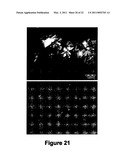 BETA-CASEIN ASSEMBLIES FOR MUCOSAL DELIVERY OF THERAPEUTIC BIOACTIVE AGENTS diagram and image