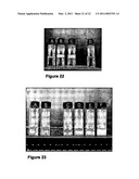 BETA-CASEIN ASSEMBLIES FOR MUCOSAL DELIVERY OF THERAPEUTIC BIOACTIVE AGENTS diagram and image