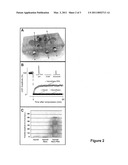 REPAIRING DAMAGED NERVOUS SYSTEM TISSUE WITH NANOPARTICLES diagram and image