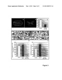 REPAIRING DAMAGED NERVOUS SYSTEM TISSUE WITH NANOPARTICLES diagram and image