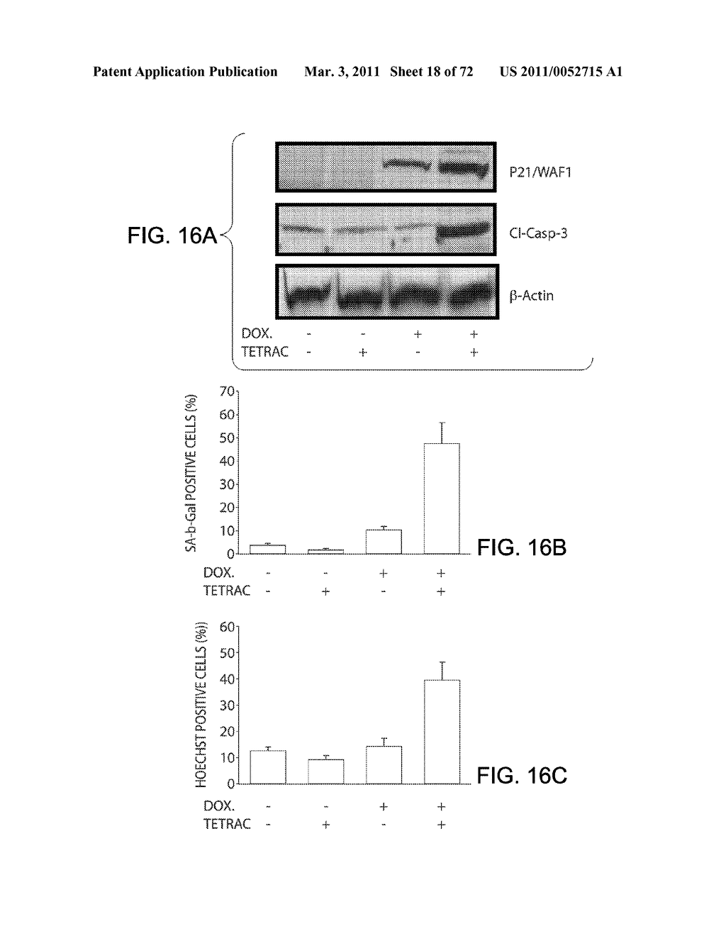 NANOPARTICLE AND POLYMER FORMULATIONS FOR THYROID HORMONE ANALOGS, ANTAGONISTS, AND FORMULATIONS AND USES THEREOF - diagram, schematic, and image 19