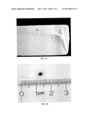 INTRA-MAMMARY TEAT SEALANT FORMULATION AND METHOD OF USING SAME TO REDUCE OR ELIMINATE VISUAL DEFECTS IN AGED CHEESES diagram and image