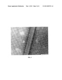 INTRA-MAMMARY TEAT SEALANT FORMULATION AND METHOD OF USING SAME TO REDUCE OR ELIMINATE VISUAL DEFECTS IN AGED CHEESES diagram and image