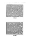 PROCESS FOR MAKING CORE-SHELL FLUORINATED PARTICLES AND AN OVERCOAT LAYER COMPRISING THE SAME diagram and image