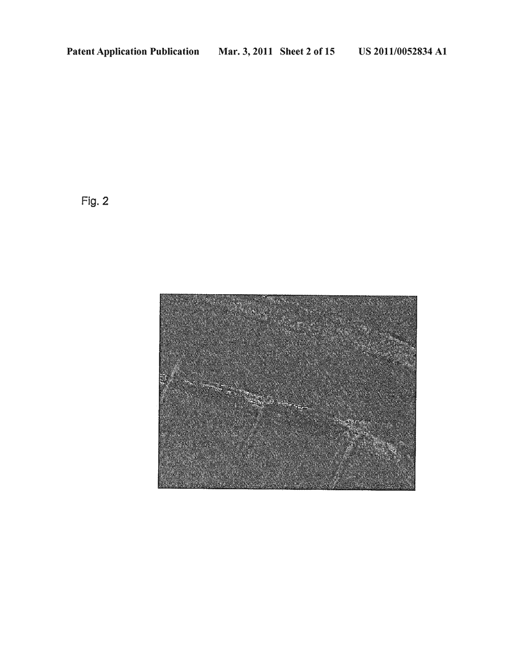 METHOD AND COMPOSITIONS FOR CREATING AN ATOMIC COMPOSITE OF CERAMICS COATED WITH TITANIUM MAKING USE OF COATING METHODOLOGY - diagram, schematic, and image 03