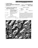 LAMP DESIGN SURFACE MEMBER AND METHOD OF MANUFACTURING LAMP DESIGN SURFACE MEMBER diagram and image