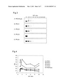 COPOLYMER INCLUDING UNCHARGED HYDROPHILIC BLOCK AND CATIONIC POLYAMINO ACID BLOCK HAVING HYDROPHOBIC GROUP IN PART OF SIDE CHAINS, AND USE THEREOF diagram and image