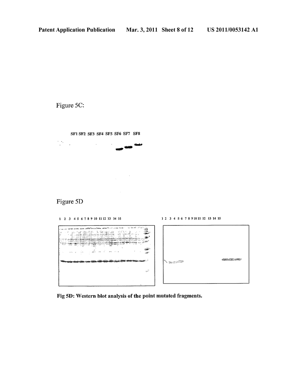 Binding Protein and Epitope-Blocking Elisa for the Universal Detection of H5-Subtype Influenza Viruses - diagram, schematic, and image 09