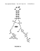 COMPOUNDS AND METHODS FOR DETECTING RICIN AND USES THEREOF diagram and image