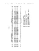 HEAT-RESISTANT DNA LIGASE WITH HIGH REACTIVITY diagram and image