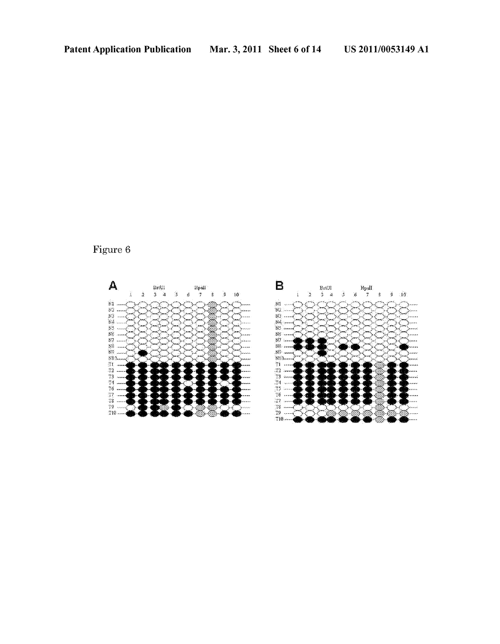 METHYLATION DETECTION IN THE GENOMIC REGION OF A RECEPTOR PROTEINTYROSINE PHOSPHATASE GAMMA GENE FOR DETECTION AND/OR DIAGNOSIS OF A TUMOUR - diagram, schematic, and image 07