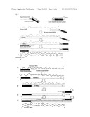 Method and Kit for Detection/Quantification of Target RNA diagram and image