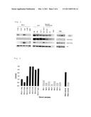 SMALL CELL LUNG CARCINOMA BIOMARKER PANEL diagram and image