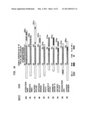 Endoglycosidases that Cleave O-linked Glycans diagram and image