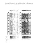 Endoglycosidases that Cleave O-linked Glycans diagram and image