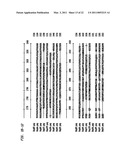 Endoglycosidases that Cleave O-linked Glycans diagram and image