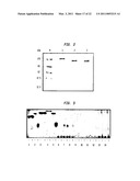 Endoglycosidases that Cleave O-linked Glycans diagram and image