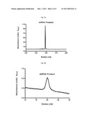 METHOD FOR ENZYMATIC SYNTHESIS OF CHEMICALLY MODIFIED RNA diagram and image