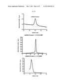METHOD FOR ENZYMATIC SYNTHESIS OF CHEMICALLY MODIFIED RNA diagram and image