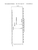 METHOD FOR ENZYMATIC SYNTHESIS OF CHEMICALLY MODIFIED RNA diagram and image