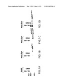 DNA DAMAGING AGENTS IN COMBINATION WITH TYROSINE KINASE INHIBITORS diagram and image