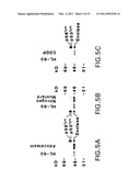 DNA DAMAGING AGENTS IN COMBINATION WITH TYROSINE KINASE INHIBITORS diagram and image