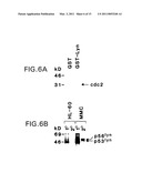 DNA DAMAGING AGENTS IN COMBINATION WITH TYROSINE KINASE INHIBITORS diagram and image