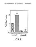 DNA DAMAGING AGENTS IN COMBINATION WITH TYROSINE KINASE INHIBITORS diagram and image