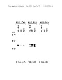 DNA DAMAGING AGENTS IN COMBINATION WITH TYROSINE KINASE INHIBITORS diagram and image