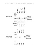 DNA DAMAGING AGENTS IN COMBINATION WITH TYROSINE KINASE INHIBITORS diagram and image