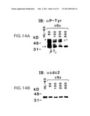 DNA DAMAGING AGENTS IN COMBINATION WITH TYROSINE KINASE INHIBITORS diagram and image