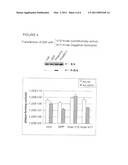 Adenoviruses Mutated In The VA Genes For Cancer Treatment diagram and image