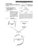 MICROORGANISM PRODUCING O-ACETYL-HOMOSERINE AND THE METHOD OF PRODUCING O-ACETYL-HOMOSERINE USING THE MICROORGANISM diagram and image