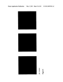 MATERIALS AND METHODS RELATING TO MODIFYING THE BINDING OF ANTIBODIES diagram and image