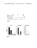 MATERIALS AND METHODS RELATING TO MODIFYING THE BINDING OF ANTIBODIES diagram and image