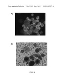 IRRADIATION INDUCED GRAFTING OF POLYSACCHARIDES TO CELL CULTURE VESSELS diagram and image