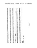 METHODS FOR CLONING AND MANIPULATING GENOMES diagram and image