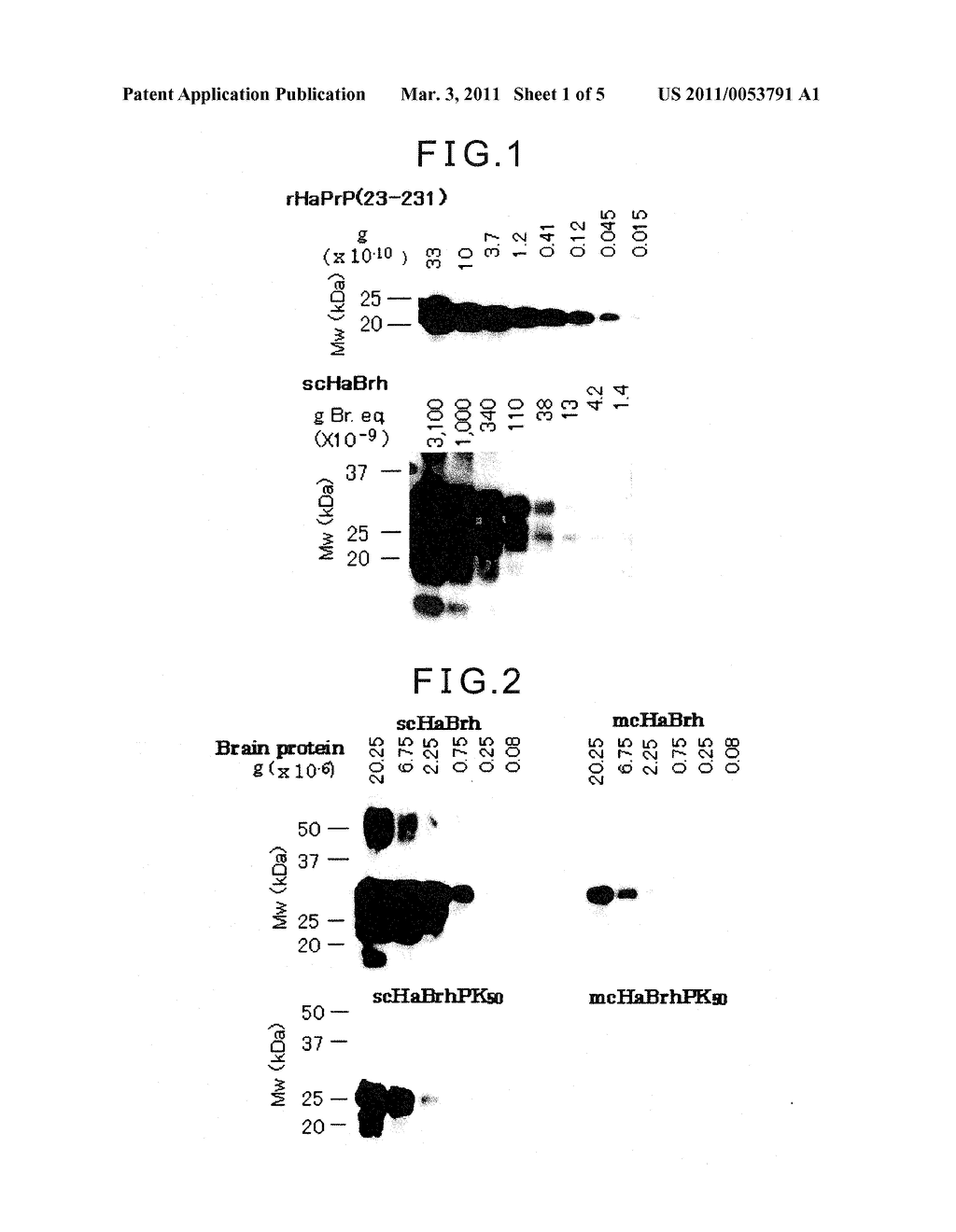 METHOD FOR DETECTING OR DETERMINING ABNORMAL PRION PROTEIN ASSOCIATED WITH TRANSMISSIBLE SPONGIFORM ENCEPHALOPATHY IN BLOOD-DERIVED SPECIMEN OR BODY FLUID-DERIVED SPECIMEN - diagram, schematic, and image 02