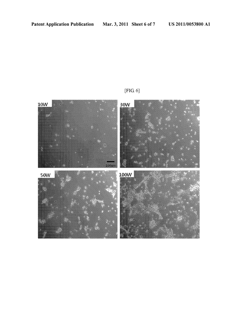 METHOD OF MANUFACTURING PATTERNED SUBTRATE FOR CULTURING CELLS, PATTERNED SUBTRATE FOR CULTURING CELLS, PATTERNING METHOD OF CULTURING CELLS, AND PATTERNED CELL CHIP - diagram, schematic, and image 07